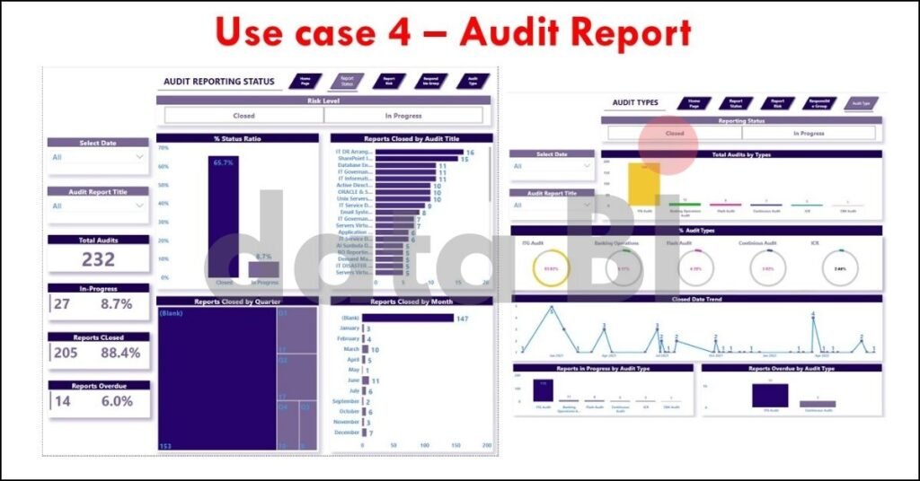 Audit Report